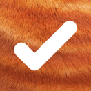 Bruce app icon